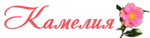 Салон красоты Камелия