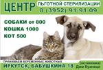 Гера, центр льготной стерилизации